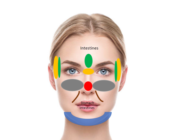 Facial map - organs on the face